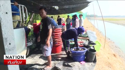 "ปลาหมอคางดำ" ยังไม่หมด - เร่งกำจัดก่อนเลี้ยงกุ้ง | 18 ม.ค. 68 | PART 3