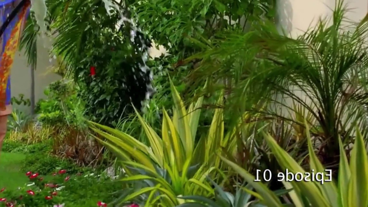 best video hai