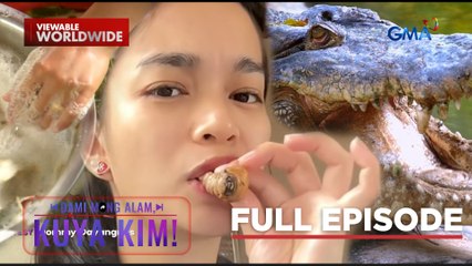 Uok, ligtas nga bang kainin?; Buwaya, napagkamalang bata na nalulunod? | Dami Mong Alam, Kuya Kim!