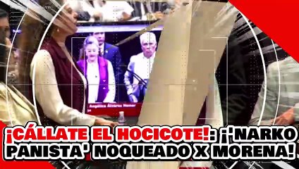 ¡CÁLLATE EL HOCICOTE! ¡’NARKO PANISTA’ es PULVERIZADO por UNA VALIENTE DIPUTADA de MORENA!
