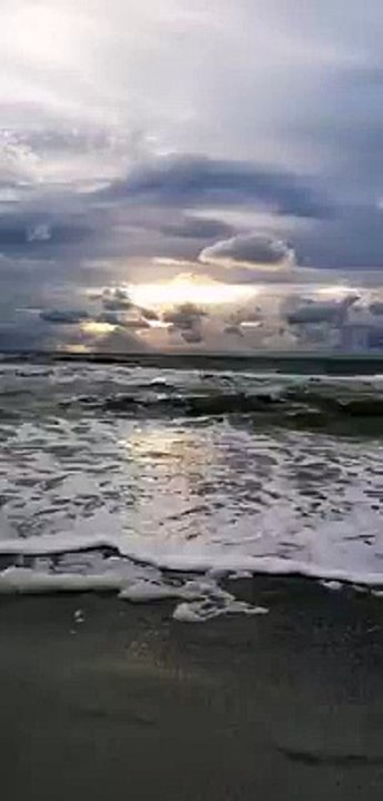 Sample video