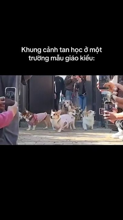 Oh, ich bin zu Hause ... Sen, ich bin hier, Sen ...