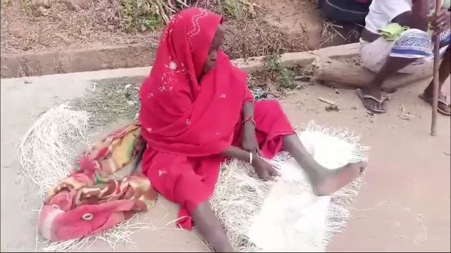आदिवासी बिरहोर जाति की स्थिति में नही हुआ कोई सुधार, विलुप्त हो रहे आदिवासी बिरहोर जाति के युवा रोजगार की तलाश में कर रहे दूसरे राज्य पलायन,बुजुर्ग बिरहोर रस्सी बनाकर कर रहे किसी तरह से गुजारा, रोजगार