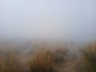 मौसम: छाया कोहरा, रैंग- रैंग कर चल रहे थे वाहन