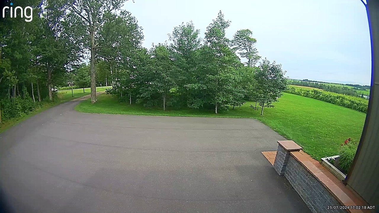 meteorito