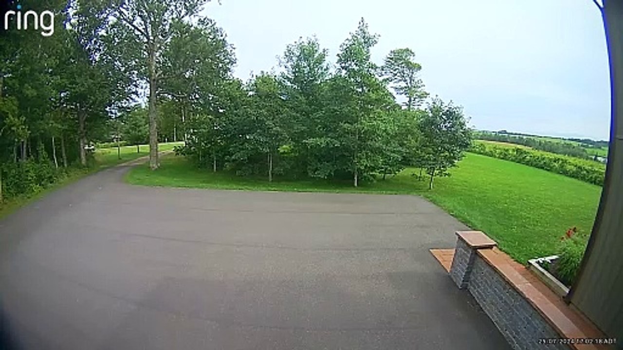 meteorito