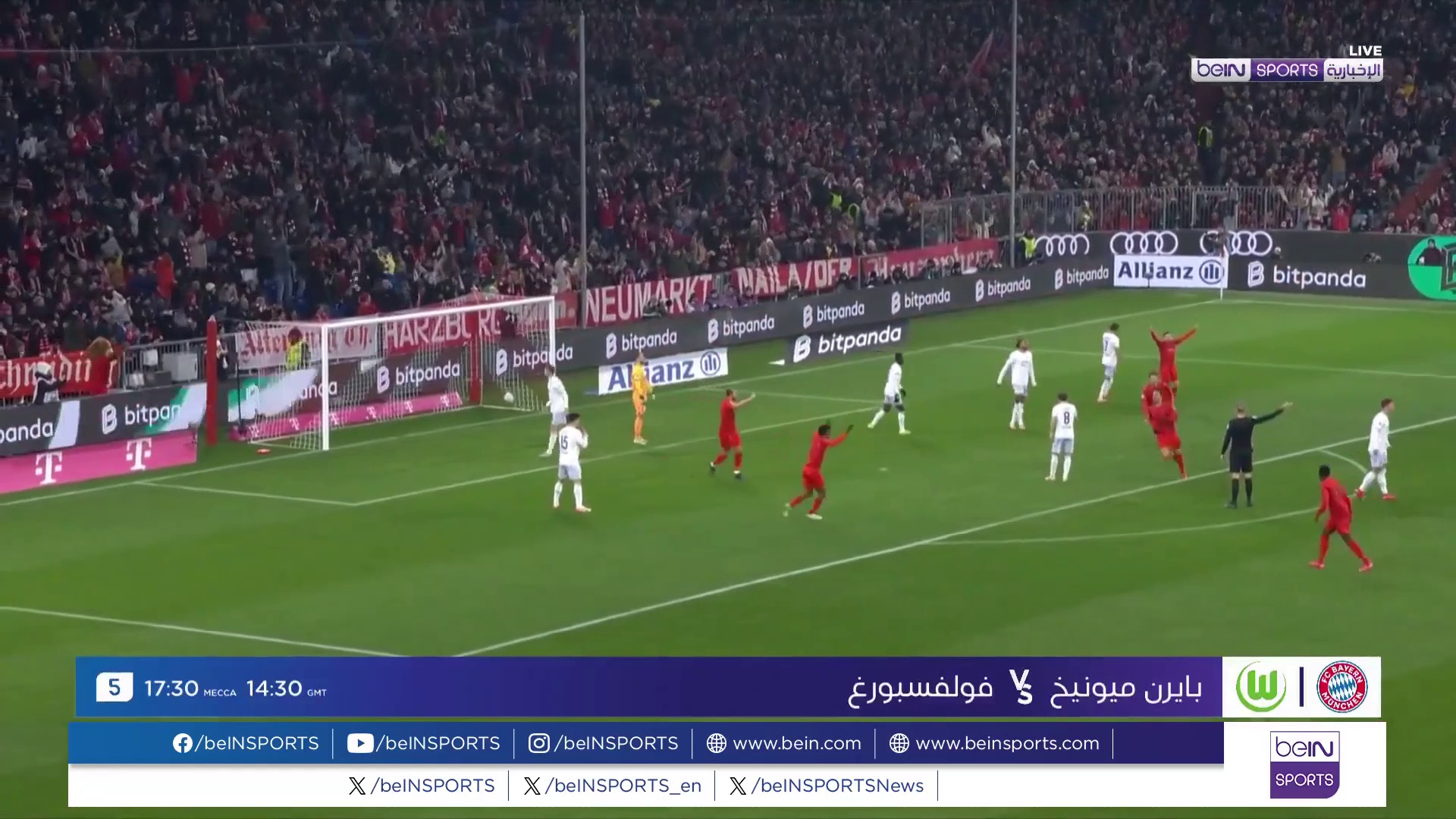 AR 17 BAYERN WOLF VT