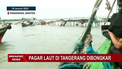Aksi Anggota TNI AL dan Nelayan Terjun hingga Berenang Bongkar Pagar Laut Misterius Tangerang