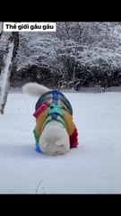 Snow baby welcomes December