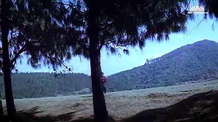 Main Na Bhulaoonga / Inteha Pyar Ki (1992) / Rishi Kapoor , Rukhsar , Suresh Wadkar Hits