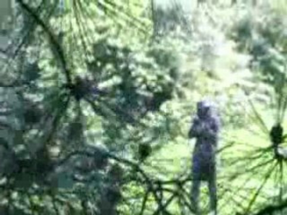 airsoft