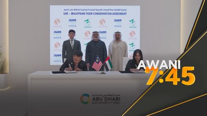 Pahang dan UAE ganding bahu lindungi spesies harimau Malaya