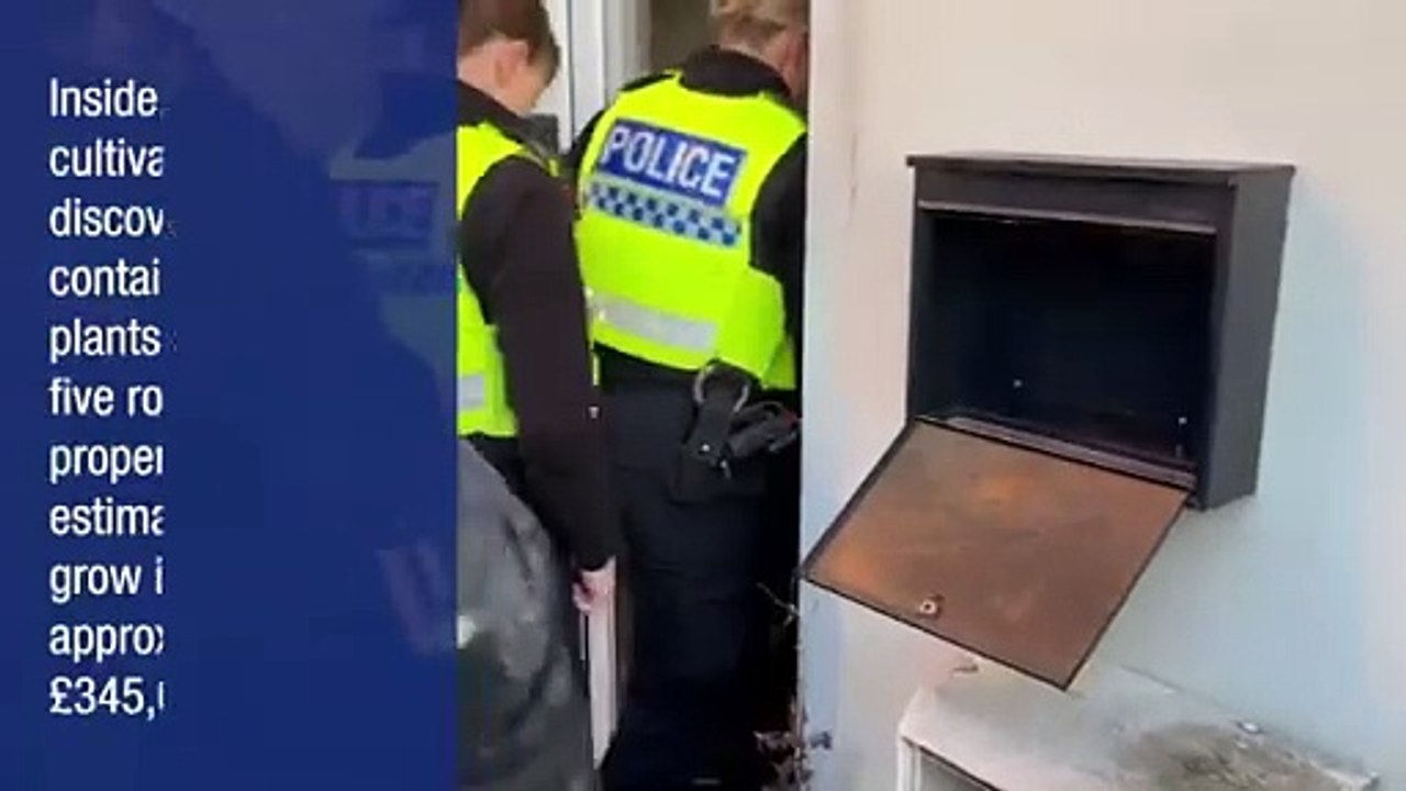 Police seized over £300,000 of drugs from a former costume store which had been converted into a cannabis factory.