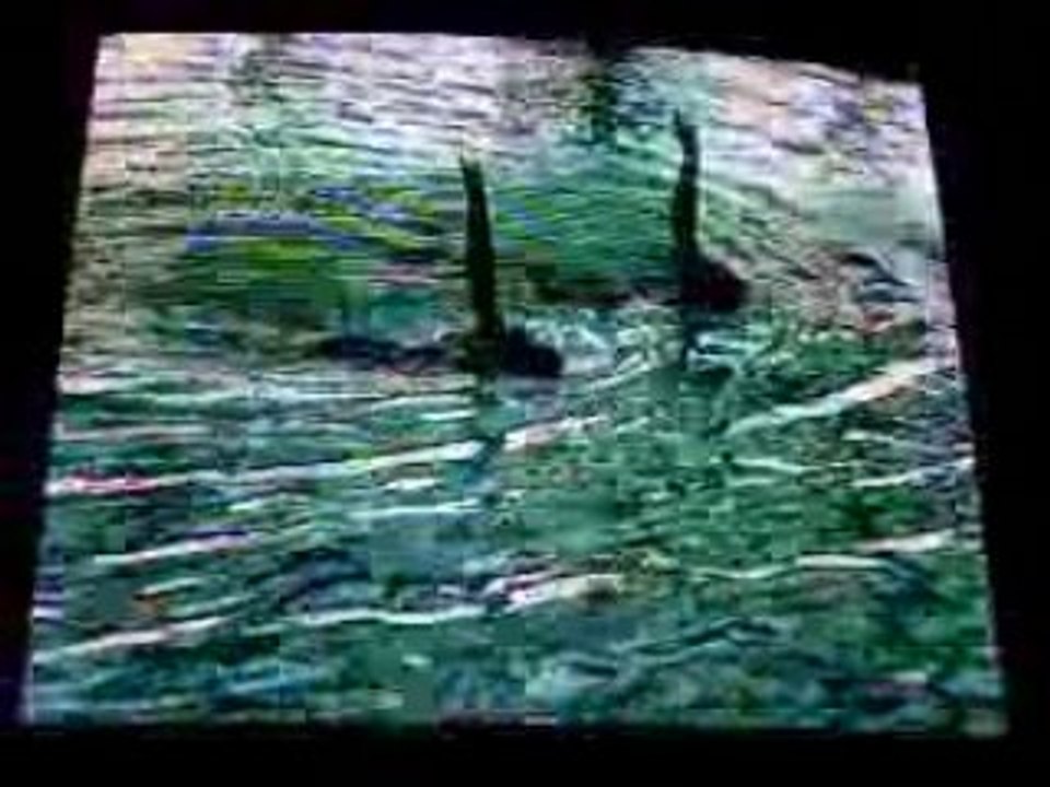 N3 Avril07 Duo Libre