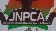 Côte d’Ivoire: le prix bord champ de la noix de cajou fixé à 425 FCFA pour la campagne 2025 (Officiel)