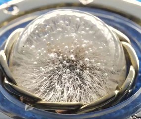 Sophisticated jewelry crafts with some nature's gifts inside!