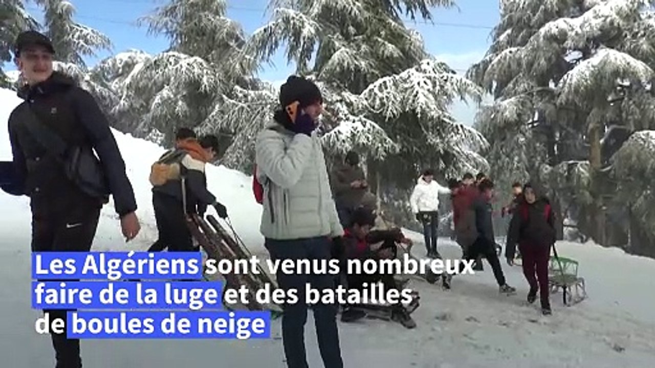 Algérie: les luges de sortie après de fortes chutes de neige