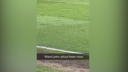 Ratas en medio del partido en Old Trafford: lo que le faltaba al Manchester United