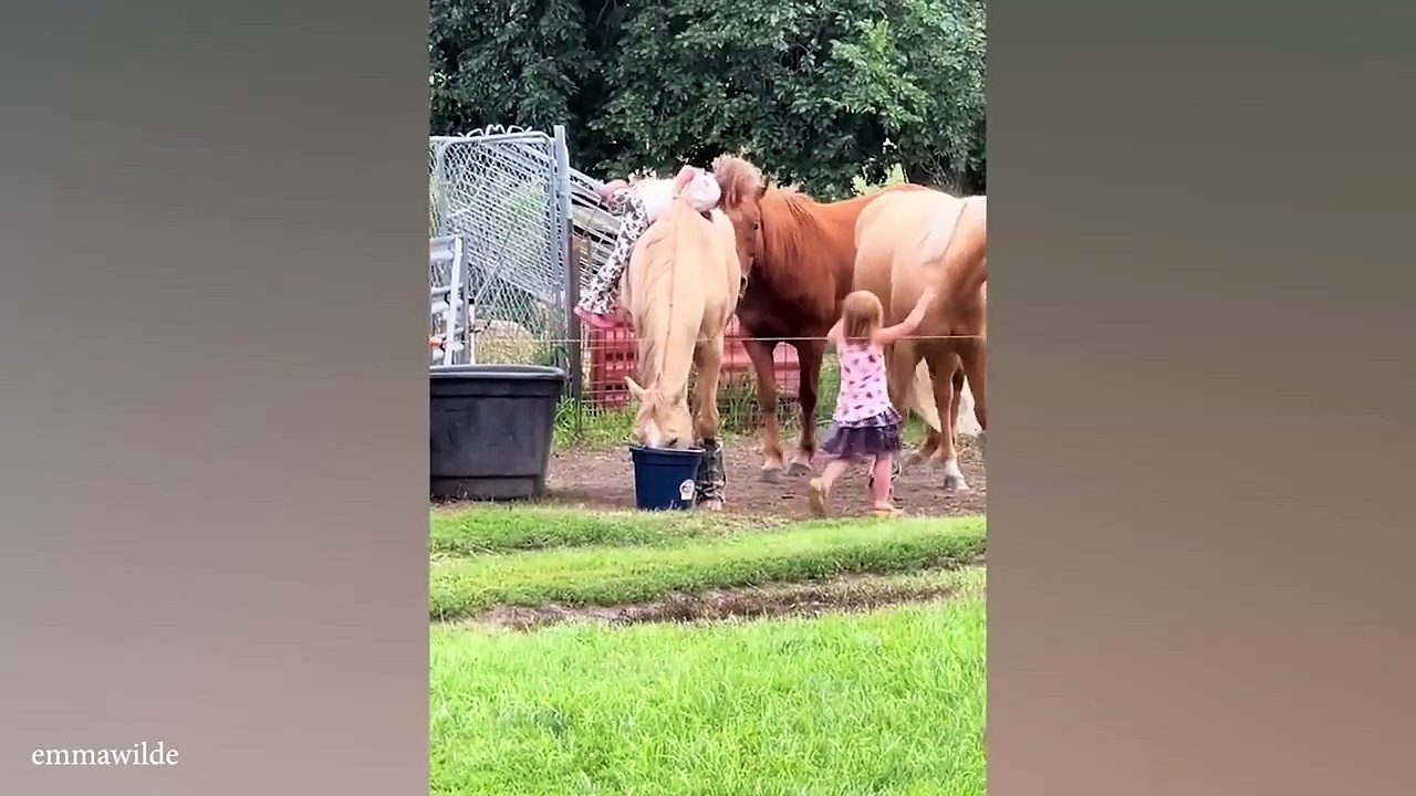 This Pet Kids Collective