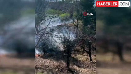 Adana'da Orman Yangını Kontrol Altına Alınıyor