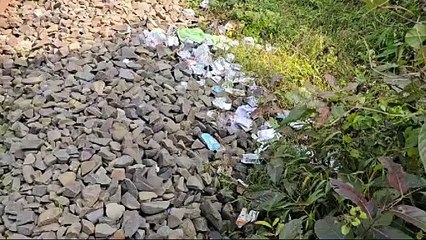 পৃথিৱীৰ দুস্প্ৰাপ্য সাতবিধ বানৰ প্ৰজাতি বিচৰণ স্থলী গিৱন অভায়ৰণ্য লৈ অশনি সংকেট।  গিৱনত সৃষ্টি হোৱা নতুন সংকটক লৈ উদিগ্ন প্ৰকৃতিপ্ৰেমী।।।।