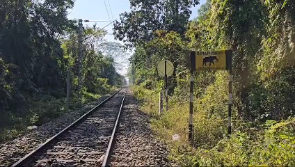 পৃথিৱীৰ দুস্প্ৰাপ্য সাতবিধ বানৰ প্ৰজাতি বিচৰণ স্থলী গিৱন অভায়ৰণ্য লৈ অশনি সংকেট।  গিৱনত সৃষ্টি হোৱা নতুন সংকটক লৈ উদিগ্ন প্ৰকৃতিপ্ৰেমী।।।।
