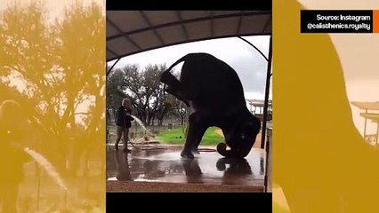 Hulvaton video: elefantti tekee akrobatiaa helpottaakseen kylpemistä