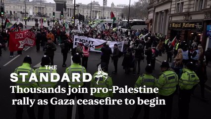 Pro-Palestine protesters gather for a rally in Westminster