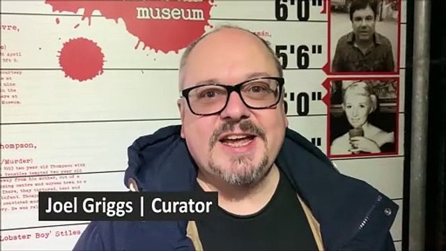 Dress Up Your Dog Day at the True Crime Museum in Hastings, East Sussex, on January 18 2025