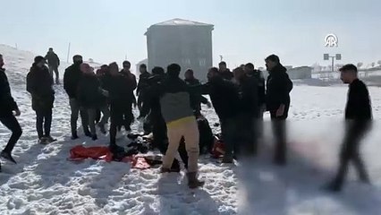 Hakkari'de köpeklerin saldırısına uğrayan çocuk hayatını kaybetti