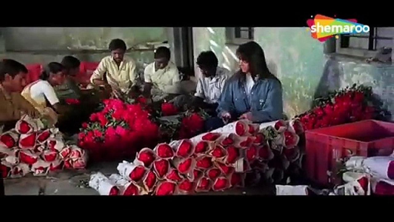 Phool Ye Nahin /1992 Ek Ladka Ek Ladki / Neelam Kothari, Salman Khan , Kavita Krishnamurthy