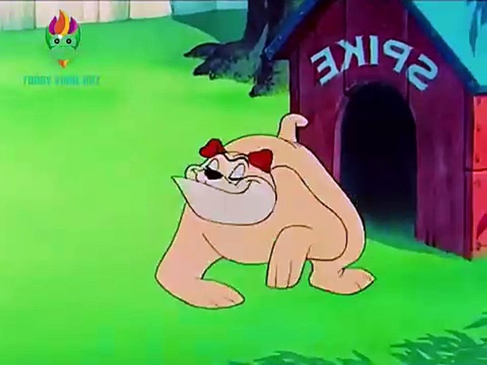 Best funny vedio