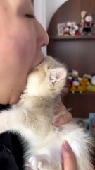 PRUEBA FOROBETA AKILES