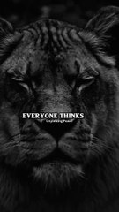 Rise & Inspire: Motivational Quotes & Videos