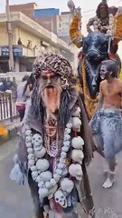 Prayagraj Maha Kumbh