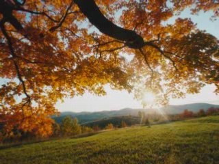 The Missionaries of America in the Key Stone of the Pacific