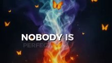 Nobody is Perfect