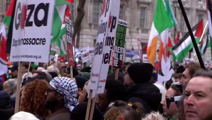 Pro-Palestine rally takes place on Whitehall