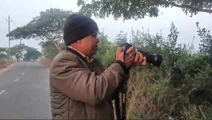 ସାତକୋଶିଆ ଗଣ୍ଡରେ ଚାଲିଛି ପକ୍ଷୀ ଗଣନା, ଶୁଭୁଚି ବିଦେଶୀ ପକ୍ଷୀ ଙ୍କ କଲରବ।