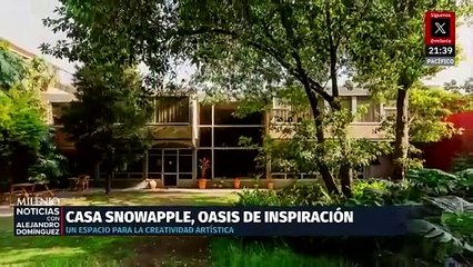 SnowApple, oasis de inspiración para artistas ubicado en la Alcaldía de Coyoacán