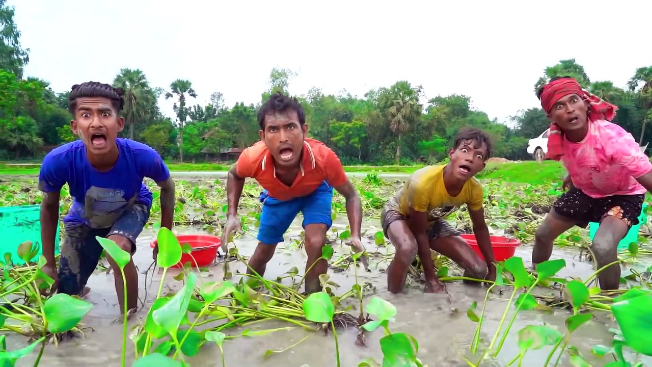 Interesting seen entertaining video Full of comedy 2025