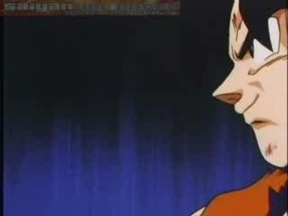 merai vegeta_2006