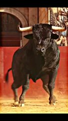 Funny scenes 🤣😜 #funny clips #viral #trending #fun