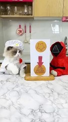 🦑🎮 Round two! Will he make it_ #PuffSurvives #SquidGameSequel #thatlittlepuff #Mesucalife