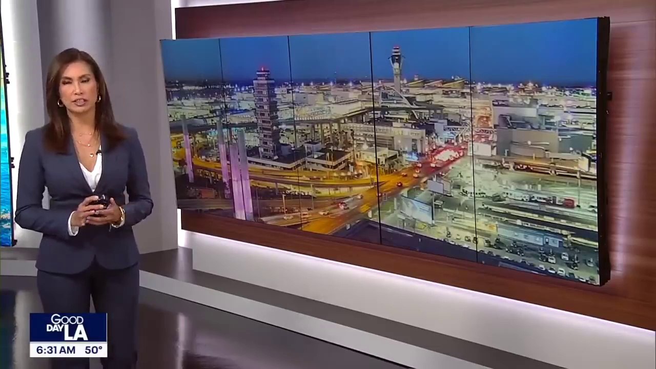 Devastation of the LA wildfires 2025