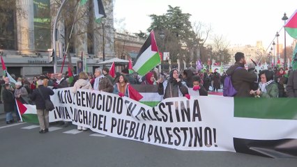 Multitud de personas se manifiestan a favor del pueblo palestino en Madrid