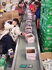 Strange Weird Jobs In USA 😯😯