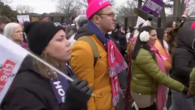People’s March in Washington DC: Anti-Trump protesters rally for national issues before inauguration