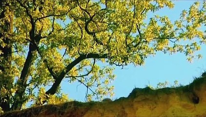 Parizhane (2 serija iz 8).