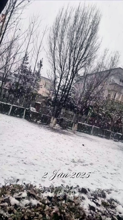 Snow fall